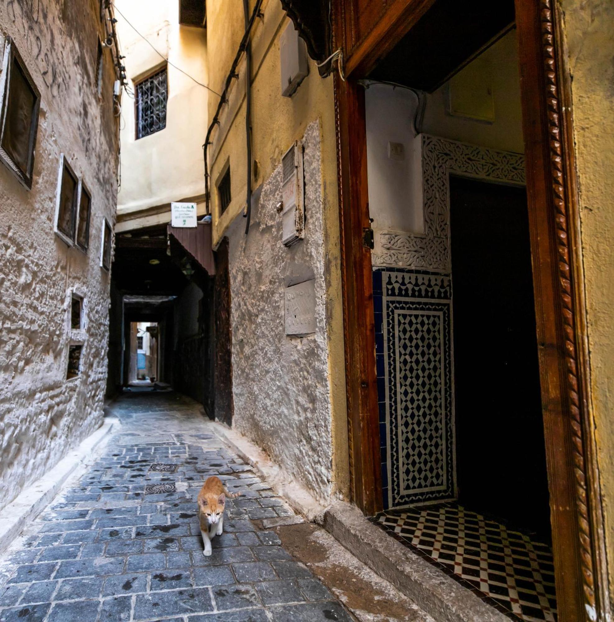 פס Riad Dar Omar מראה חיצוני תמונה